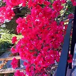 Apartment Nikis Agios Gordios (Corfu)
