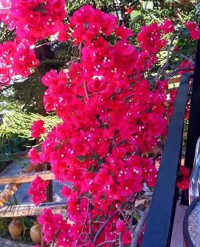Appartement Nikis Agios Gordios (Corfu)